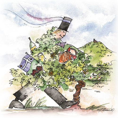 Bild von Norbert Kämmer